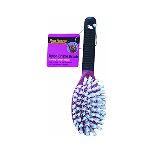 Westminster Pet Products Soft Grip Cat Bristle Brush