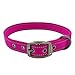 Max and Neo MAX Reflective Metal Buckle Dog Collar - We Donate a Collar to a Dog Rescue for Every Collar Sold (Small, Pink)