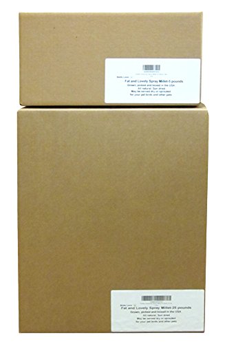 Birds LOVE Spray Millet for Birds 5 lbs