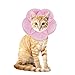 AnnaEye Pet Recovery Pet Cone E-Collar for Cats and Small Dogs - Comfortabe Flower Pattern Elizabethan Collar Pink S