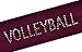VOLLEYBALL Rhinestone Cotton Stretch Headband for Girls Teens and Adults - Volleyball team gift ~Funny Girl Designs