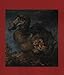 Dodo : From Extinction to Icon