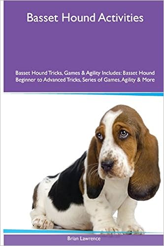 basset agility