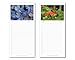 Donald Verger Photography Birthday and Anniversary Perpetual Calendar. Blue Hydrangea Flower. Wall or Desk. 11x5