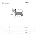 PUPTECK Dog Cooling Bandana Ice Chill Out Scarf for Summer Large