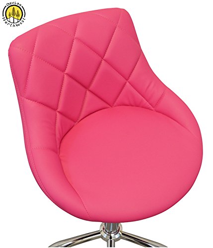 DevLon NorthWest Salon Facial Beauty Hair Pedicure Manicure Stool with Back for Medical Massage Clinic Spa Tattoo Chair Swivel Hydraulic Lift Adjustable Rolling Stool Pink