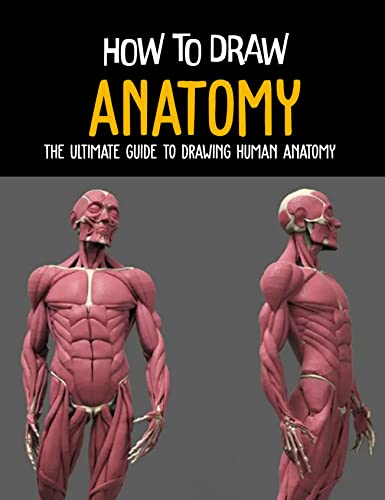 Mua HOW TO DRAW ANATOMY: The Ultimate guide to drawing human anatomy trên Amazon Mỹ chính hãng ...