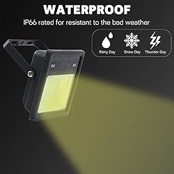 Q QINGCHEN 2 PCS DC 12V Low Voltage LED Flood Light