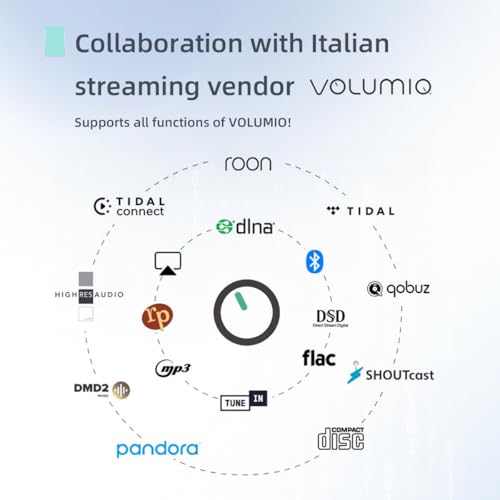 SMSL N100 Hi Res Streaming Player|USB 3.0/2.0×3+LAN/WiFi Multi Interface|MQA Decoding|Supports Tidal/QOBUZ/AirPlay/DLNA/ROON|Can be Directly Connected to CD Drive/Hard Drive