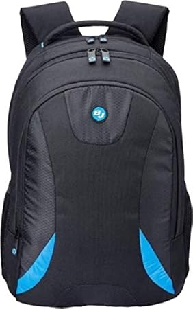 SPG HP Polyester Casual Laptop Bags/Backpack for Men with Adjustable Strap Expendable with 2 Compartments .(Under 500) Rs (Black Blue)