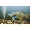 BaitCloud-Fish-Attractant-Tube-of-3