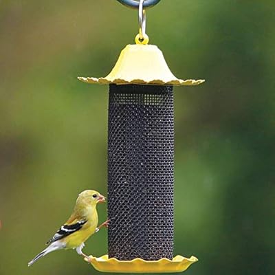 Amazon Com Stokes Select 38194 Bird Feeder Yellow Wild Bird