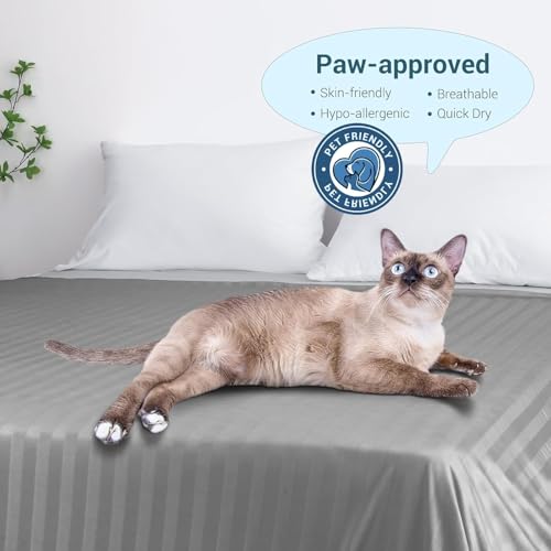 Elegear Revolutionary Cooling Blanket King, Absorbs Heat for Night Sweats, Double Sided Arc-Chill 3.0 Cool Fiber Q Max ＞0.5, Lightweight Summer Blanket 90" x 108"