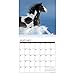 What Horses Teach Us 2018 Calendar