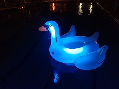 Swimline Giant LED Light Up Swan Float