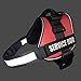 ALBCORP Service Dog Vest Harness – Reflective, No-Pull Harness with Handle & Comfy Mesh Padding – Sizes XXS-XL for Puppies, Small & Large Dogs – 2 Removable Service Patches Included (Medium, Red)