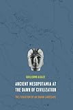 Ancient Mesopotamia at the Dawn of Civilization: The Evolution of an Urban Landscape by 