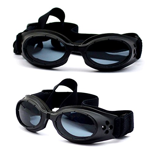 Top 10 Best Dog Goggles Top Reviews No Place Called Home