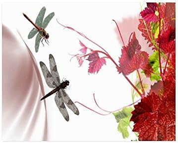 Christmas/Thanksgiving Gifts Beautiful Dragonfly Collage Poster Paper Print Wall Art Living Room Home Office Decor 20 x 16 inches