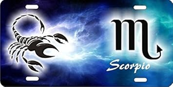 Amazon Com Atd Scorpio Personalized Novelty Front License Plate