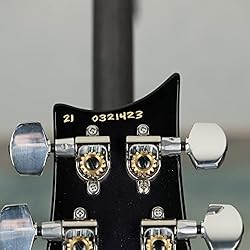 Paul Reed Smith, PRS Custom 24 Non 10 Flame Maple