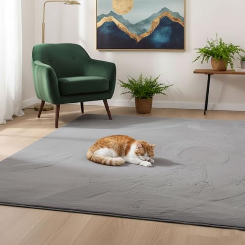Vimoda Teppich Wohnzimmer Schlafzimmer Flauschig, Kurzflorig – Waschbar Und Fußbodenheizung Geeignet,Farbe:grau;Maße:80X140 Cm