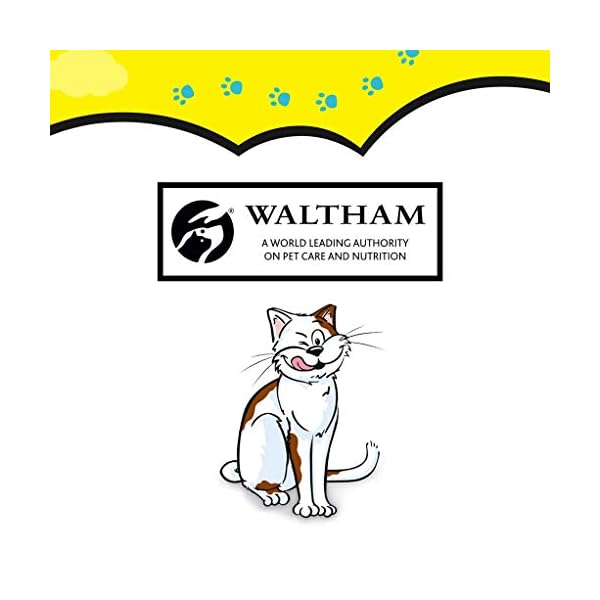 Dreamies Cat Treats Variety Pack, snacks with chicken, salmon flavour and cheese, 60 g (Pack of 12)