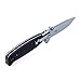 Ganzo G7522 Folding Hunting Pocket EDC Handle Knife (Black)