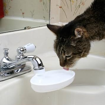 Amazon Com Sink Drink Turns A Faucet Into A Fountain For Your