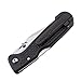 SOG Specialty Knives & Tools AC10-CP AutoClip Mini Knife with Straight Edge Folding 2.68-Inch Steel Blade and Black GRN Handle, Satin Finish