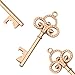 Makhry 50pcs Wedding Favors Skeleton Key Bottle Openers Wedding Guest Gifts For Wedding Party Favors Bridal Baby Shower Anniversary Graduation Party (Rose Gold)