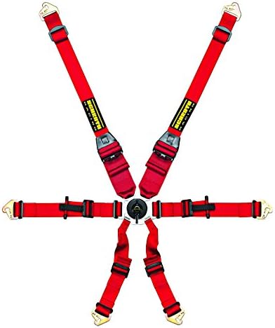 Schroth Profi II 6 Point Camlock Racing Harness with Snap In Flexi Lap Belt for use with HANS Devices - Red