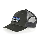 Patagonia Men's P-6 LoPro Trucker Hat Forge Grey (Forge Grey)