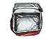 Nike Elite Fuel Pack Lunch Tote Bag, (Gym Red/Black/White)