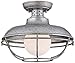 Franklin Iron Works Franklin Park Rustic Industrial Outdoor Ceiling Light Galvanized Steel Cage 12