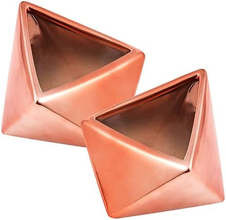 Succulent Cacti Planter Small Pots Containers Modern Geometric Minimalist Nordic Style Home Office Decor Accessory 2 Pack (Triangle)