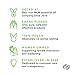 Edens Garden Focus, Focus, Focus Essential Oil Blend- 100% Pure Premium Grade, Undiluted, Natural, Therapeutic, Aromatherapy, The Best for Diffusing, Kid Safe, Humidifiers, Skin 10 ml (.33 fl oz)