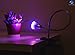 Z-LINE Group LED Grow Lights for Indoor Plants - 5W Grow Light Clip Lamp with 360 Degree Flexible Gooseneck