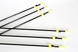 Bowtactix Six (6) Pack Fishing Arrows with Broadheads