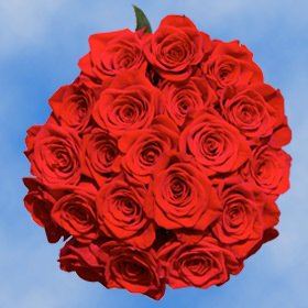 Fresh Cut Roses | 50 Red Roses