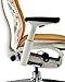 Herman Miller Embody Chair: Fully Adj Arms - White Frame/Titanium Base - Standard Carpet Casters