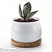 T4U 2.75 Inch Ceramic White Jar Shape Design Succulent Plant Pot/Cactus Plant Pot Flower Pot with Free Bamboo Tray/Container/Planter White