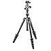 Gitzo GK1555T-82TQD Series 1 Traveler Kit with GT1555T 5 Section Tripod & Head (Black)