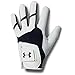 Under Armour Men's Ua Iso-chill Golf Glove