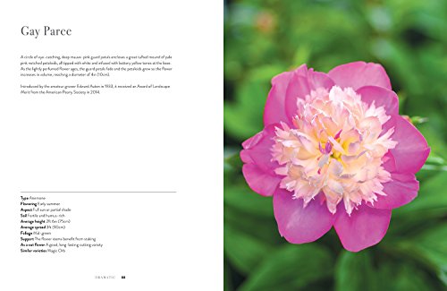 Peonies: Beautiful Varieties for Home & Garden (Flowers) - Thumbnail 3