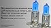 H1 100W Pair High or Low Beam or Fog Light Xenon HID White Bulbs JDM