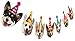 Silvima Dogs Birthday Garland, Funny Corgi Face Portrait Birthday Banner, Dog Bday Bunting Decoration