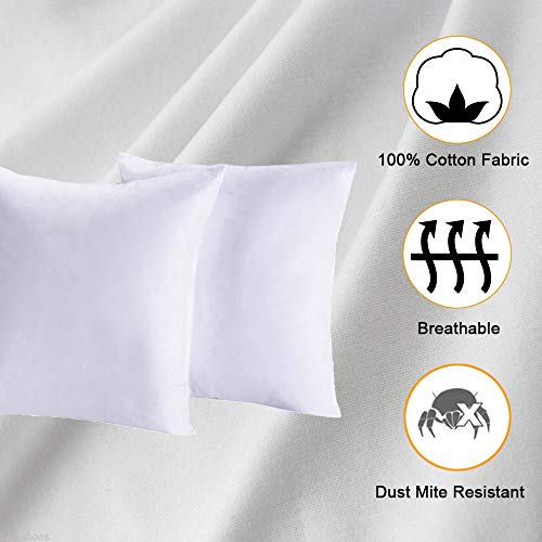 Homelike Moment 20x20 Feather Down Pillow Insert Square Couch Throw