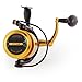 Penn 1259877 Spinfisher V Spinning Fishing Reel, 6500LL