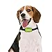 Dog Bark Collar Small, Medium, Large Dogs, Anti Bark Collar Sound Vibration, No Shock, Harmless & Humane